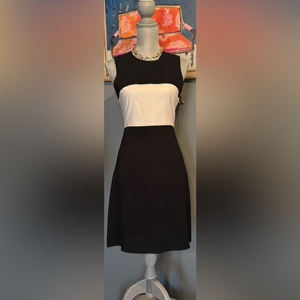 L'AGENCE Black and White Women's Dress - Picture 5 of 6